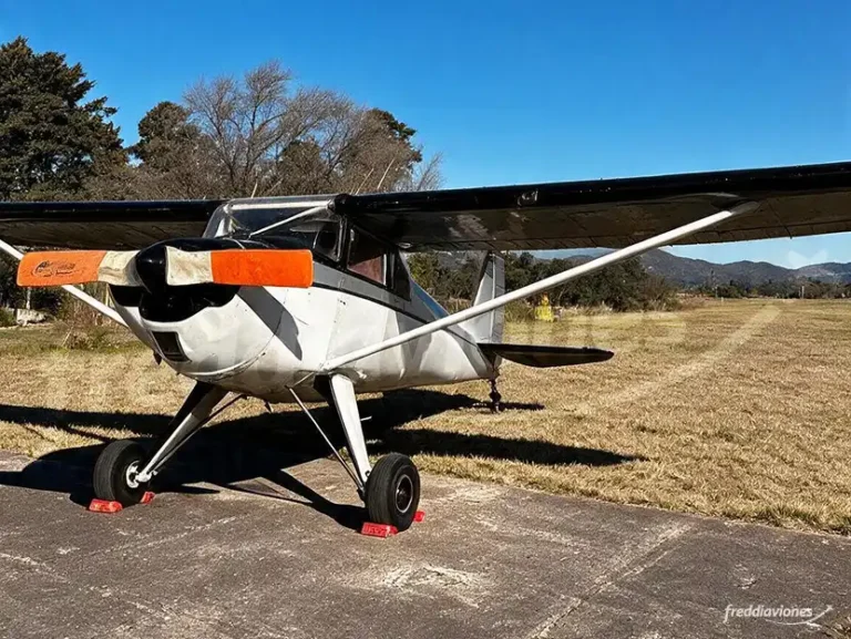 LUSCOMBE 8A SILVAIRE en venta - Freddi Aviones